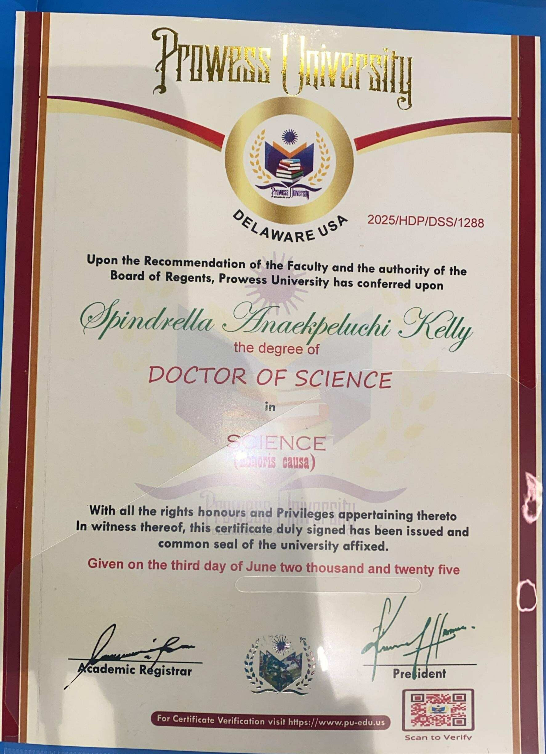 CEO Doctorate 2
